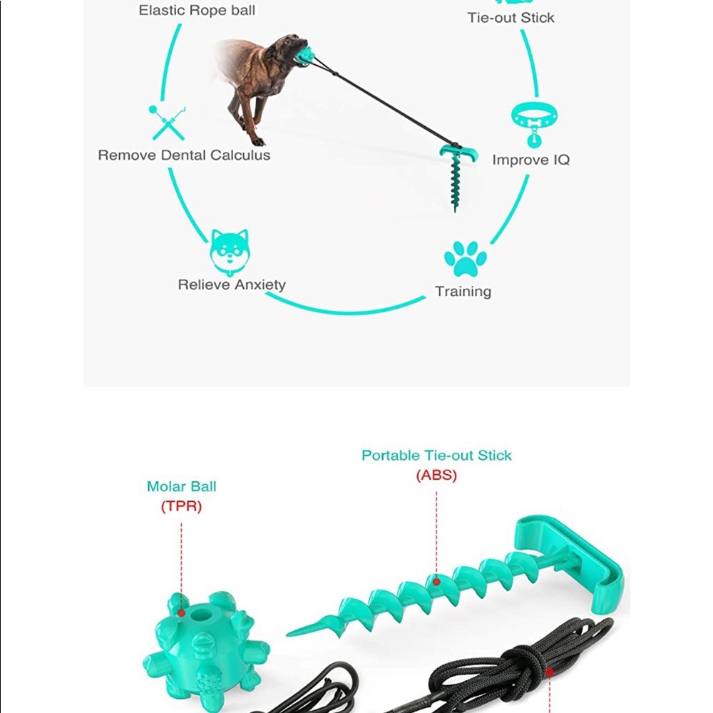 Dog stake and leash with toy (brand new)!